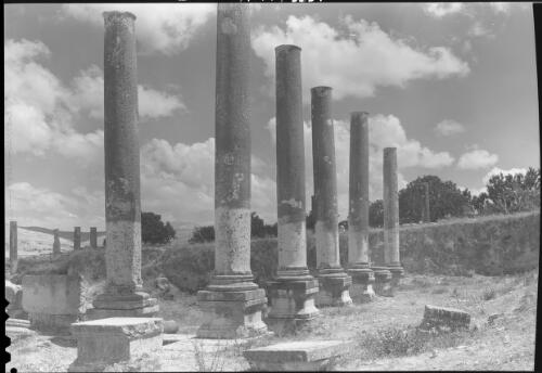 [Ancient ruin, showing a row of columns with capitals missing, 2] [picture] / [Frank Hurley]