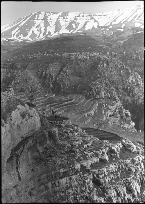 Typical Lebanon scene where every available square metre of arable land is terraced & cultivated [picture] : [Lebanon, World War II] / [Frank Hurley]