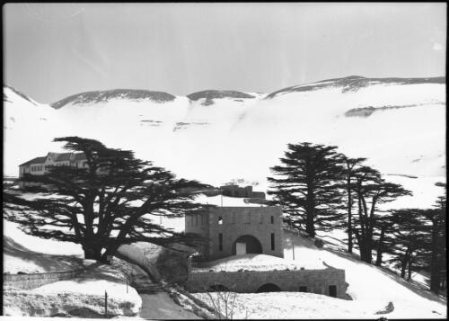 Various shots taken up around the Cedars of Lebanon [cedars, lodges, road and distant snow covered mountains] [picture] : [Lebanon, World War II] / [Frank Hurley]