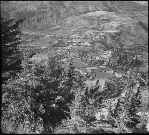 In Lebanons above Becharee, in the Lebanons near the Cedars [looking down onto cultivated fields] [picture] : [Lebanon, World War II] / [Frank Hurley]