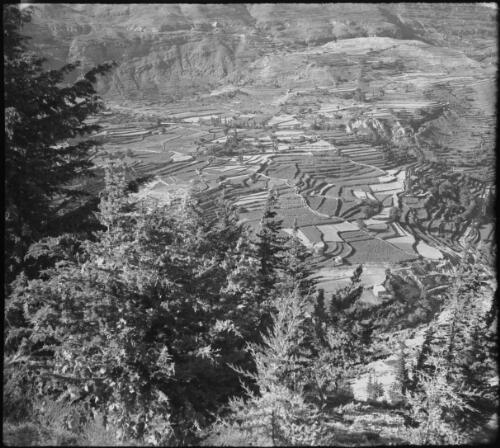 In Lebanons above Becharee [Bcharee]. In the Lebanons near the Cedars [looking down onto cultivated fields] [picture] : [Lebanon, World War II] / [Frank Hurley]