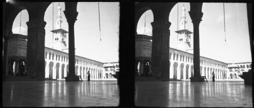 Cedars [Omayyid Mosque, Damascus] [picture] / [Frank Hurley]
