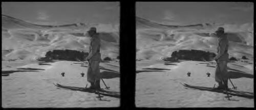 Cedars of Lebanon [A.I.F.skiers on mountain side, lodge and cedars below] [picture] : [Lebanon, World War II] / [Frank Hurley]