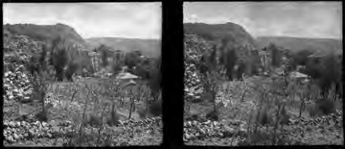 In the Lebanons [thistles foreground, low-lying brick structure behind and then rocky outcrop and distant hills] [picture] : [Lebanon, World War II] / [Frank Hurley]