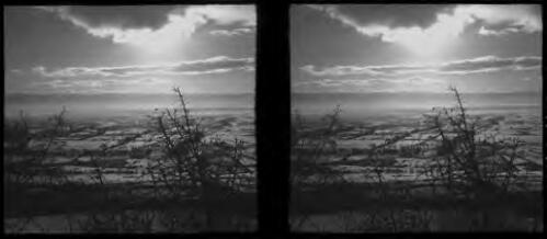 Winter scenes at Ainsofar [looking down onto an open plain, bushes in foreground] [picture] : [Syria, World War II] / [Frank Hurley]