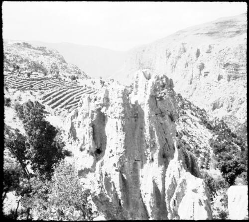 Damas near Becharee [Bcharre, landscape shot showing mountain ranges, trees and rocky crag in foreground and some crop or fruit tree cultivation in middleground] [picture] : [Lebanon, World War II] / [Frank Hurley]