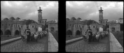 Hama [shepherd and goats walking across a bridge, town behind] [picture] : [Syria, World War II] / [Frank Hurley]