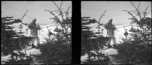 Cedars Lebanon [two A.I.F. skiers on the slopes] [picture] : [Lebanon, World War II] / [Frank Hurley]