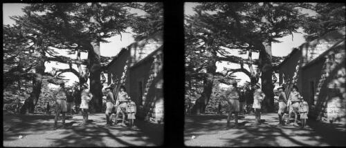 Cedars [four uniformend AIF soldiers with local man and two children beneath a grove of cedars] [picture] : [Lebanon, World War II] / [Frank Hurley]