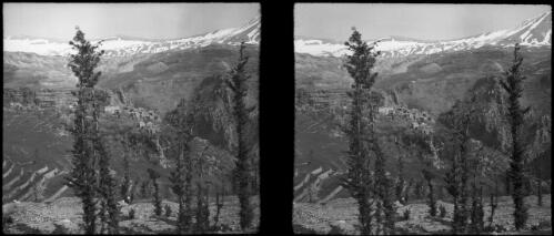 The Village of Hajit [view through trees to mountain village and terraced fields] [picture] : [Lebanon, World War II] / [Frank Hurley]