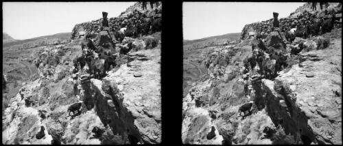 Goatherd in Lebanons near Cedars [picture] : [Lebanon, World War II] / [Frank Hurley]