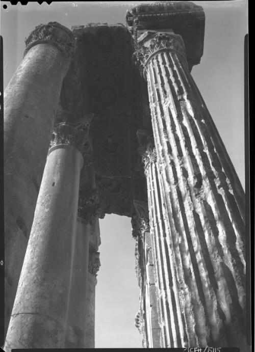 Columns, Temple Bacchus Baalbek [looking skyward to the decorated ceiling between the two colonnades] [picture] : [Lebanon, World War II] / [Frank Hurley]