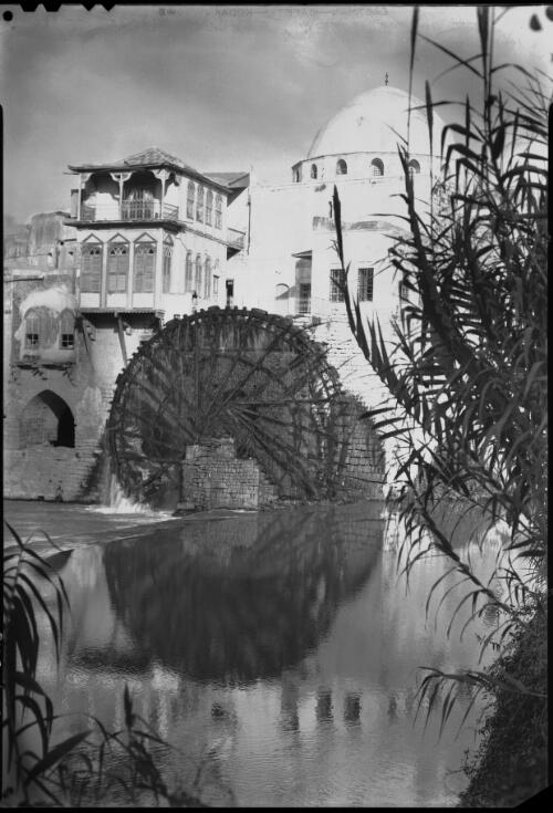 Waterwheel at Hama Syria [view through trees across Orontes River to waterwheel] [picture] : [Syria, World War II] / [Frank Hurley]