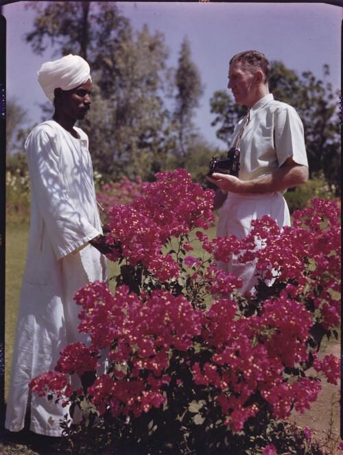 Mr Hugh Bedford, Chief of Research Div photographed with one of his Sudanese gardeners [picture] : [Sudan, 1940's] / [Frank Hurley]