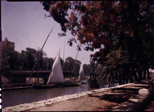 [Canal or river with drawbridge and feluccas, Footpath and trees to the side] [transparency] : [Sudan, 1940's] / [Frank Hurley]