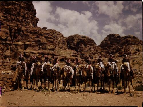 [Ten Allied soldiers mounted on camels wearing Arab military dress] [picture] : [Sudan, 1940's] / [Frank Hurley]