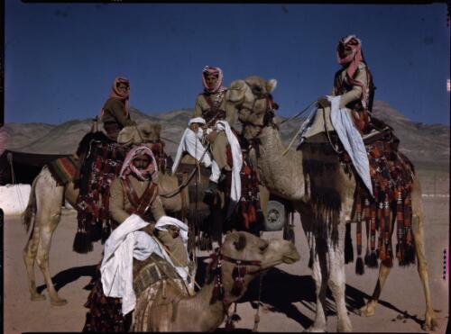 [Four Allied soldiers in Arab milirary dress on camels, truck, tents and desert behind] [transparency] : [Sudan, 1940s] / [Frank Hurley]