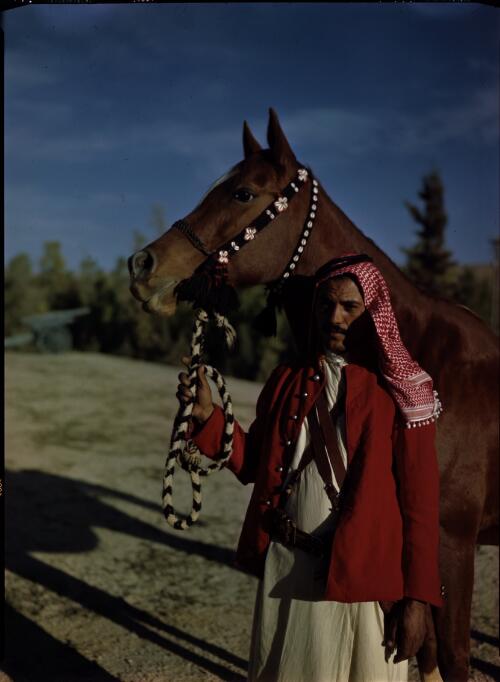 [Soldier wearing a red jacket and Arab headdress posing with horse] [picture] : [Sudan, 1940's] / [Frank Hurley]