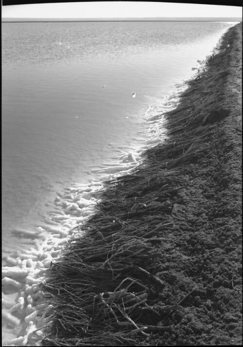 Foreshore of the Dead Sea showing salt crystallising out [picture] / [Frank Hurley]