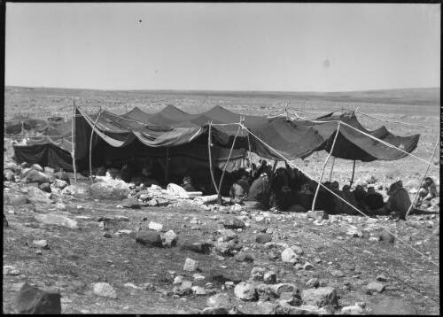 In the big assembly, tent of the Majali Bedouins, Kerak Transjordan [picture] : [Jordan] / [Frank Hurley]