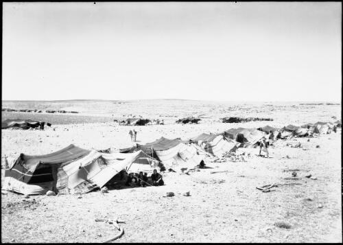 [Bedouin camp near Kerak, Transjordan] [picture] : [Jordan] / [Frank Hurley]