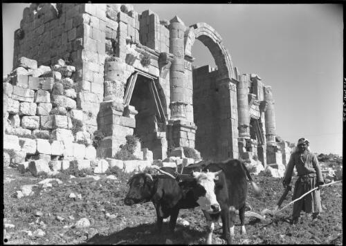 Ruins of Jerash, Transjordan [picture] : [Jordan] / [Frank Hurley]