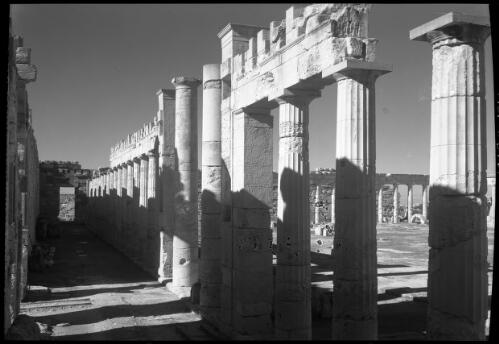 Ruins of the ancient Greek city of Cirene Cyrenaica [ca. 1940-1946] [picture] : [Barqah, Libya] / [Frank Hurley]