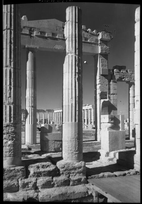 Entrance to the Forum, ruins of Cirene Cyrenaica [ca. 1940-1946] [picture] : [Barqah, Libya] / [Frank Hurley]