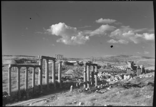 [Ancient ruin showing groups of corinthian columns on either side of a road with more columns in the distance, ca. 1940-1946] [picture] : [Barqah, Libya] / [Frank Hurley]