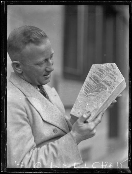 Palaeontologist Mr H.O. Fletcher holding a fossil at the Australian Museum, New South Wales, 1933 [picture]