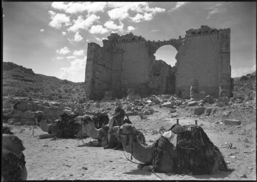 [Roman ruins with arch, Qasr al Bint, Petra, three camels in foreground] [picture] : [Petra Valley, Jordan] / [Frank Hurley]