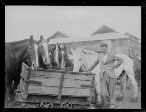 Man and a group of horses around a mining cart, Bellbird Colliery, New South Wales, ca. 1923, 2 [picture]