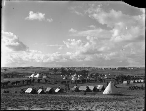 [An encampment of Australian Light Horse in Palestine 1918] [picture] / [Frank Hurley]