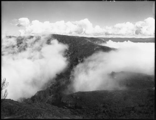 Narrow Neck with mists [1] [picture] : [Blue Mountains, New South Wales] / [Frank Hurley]