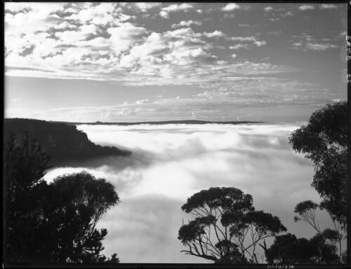Jamieson valley filled with mist from above Three Sisters lookout [2] [picture] : [Blue Mountains, New South Wales] / [Frank Hurley]
