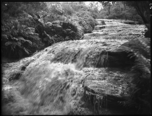 Leura Cascades [picture] : [Blue Mountains, New South Wales] / [Frank Hurley]