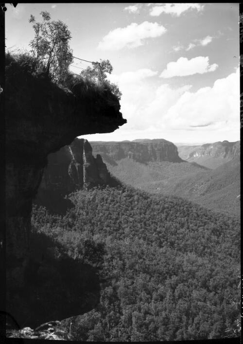 Valley of Grose from Blackheath [vertical shot, 1] [picture] : [Blue Mountains, New South Wales] / [Frank Hurley]