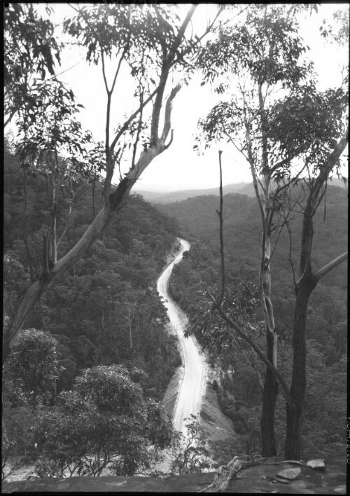 The Richmond-Bell Road near Mt Tomah [picture] : [Blue Mountains, New South Wales] / [Frank Hurley]
