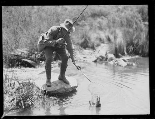 Man catching a trout with a net, New South Wales, 1 December 1933 [picture]
