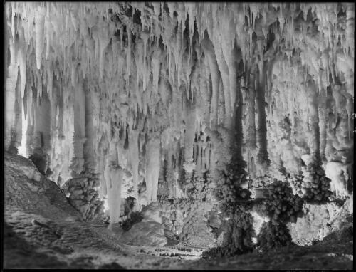 Interior [of Yarrangobilly Caves, New South Wales] [picture] / [Frank Hurley]