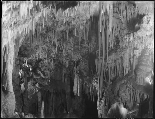 Interior [of Yarrangobilly Caves, New South Wales] [picture] / [Frank Hurley]