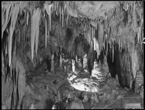 Interior (to be named) [picture] : [Yarrangobilly Caves, New South Wales] / [Frank Hurley]