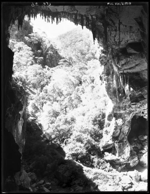 Devil's Coachhouse (fuller view) [inside the Devil's Coachhouse looking north] [picture] : [Jenolan Caves, New South Wales] / [Frank Hurley]