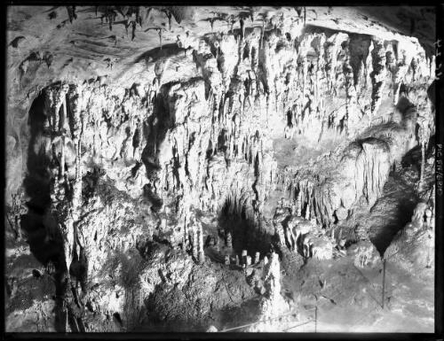 Madonna Cave, Left Imperial [picture] : [Jenolan Caves, New South Wales] / [Frank Hurley]