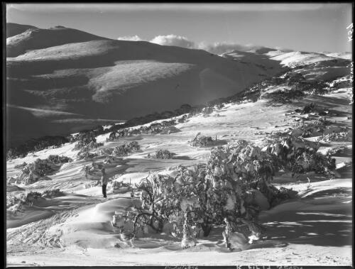 [Looking to main range from Pulpit rock across Charlotte Pass] [picture] : [Kosciuszko, New South Wales] / [Frank Hurley]