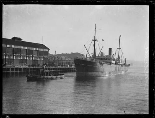 S.S. Calula tied to a tug boat at a wharf, New South Wales, ca. 1920s, 1 [picture]