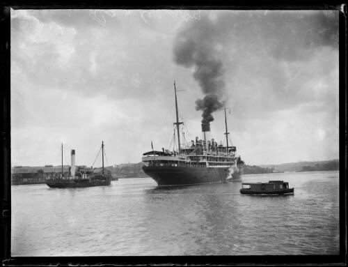 S.S. Canberra next to a tug boat by a wharf, New South Wales, ca. 1920s [picture]