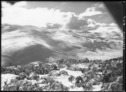Main Range showing Snowy R[iver] Gorge [picture] : [Kosciuszko, New South Wales] / [Frank Hurley]