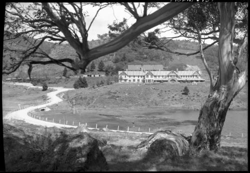 Scenes around Kosciusko Hotel (gum tree foreground right side] [picture] : [Kosciuszko, New South Wales] / [Frank Hurley]