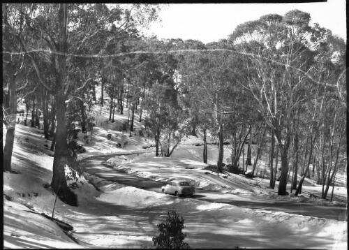 [Driving through the snow-covered forest] [picture] : [Snowy Mountains Hydro-Electric Scheme, New South Wales] / [Frank Hurley]